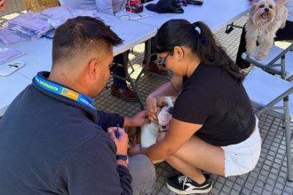 WhatsApp Image 2025-11-19 at 11.22.04.jpeg